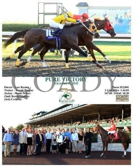 Pure Victory - 100811 Keeneland