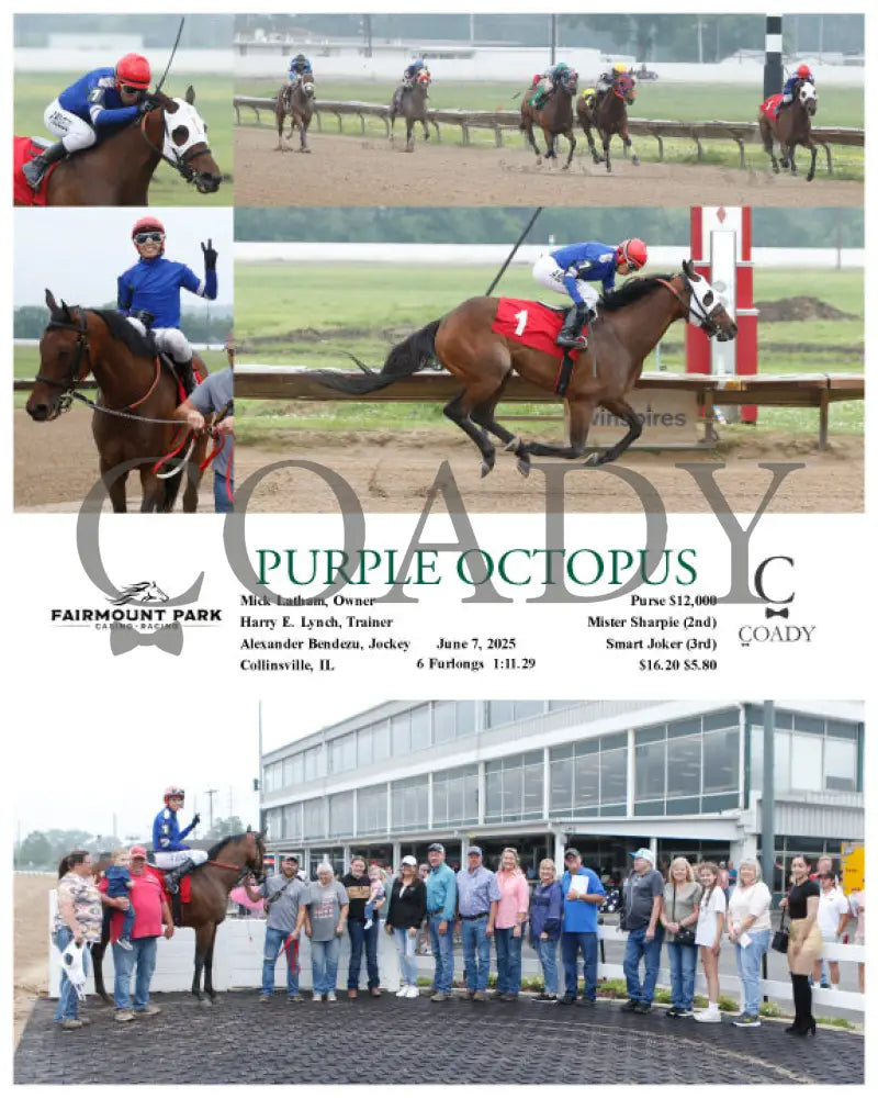 PURPLE OCTOPUS - 06-07-25 - R04 - FP Fanduel Sportsbook Horse Racing