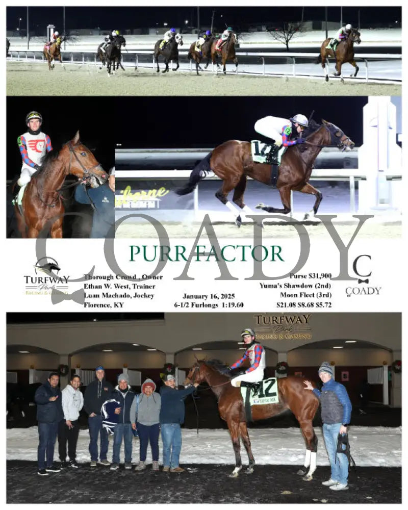 Purr Factor - 01-16-25 R04 Tp Turfway Park
