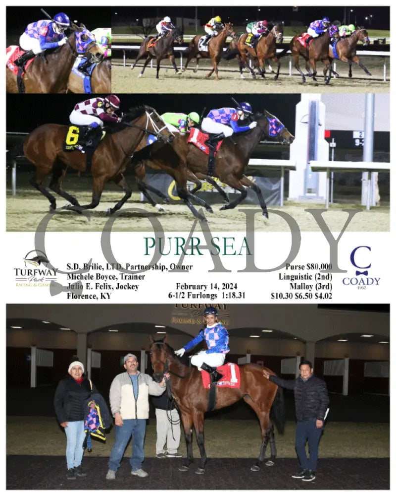 Purr Sea - 02-14-24 R06 Tp Turfway Park