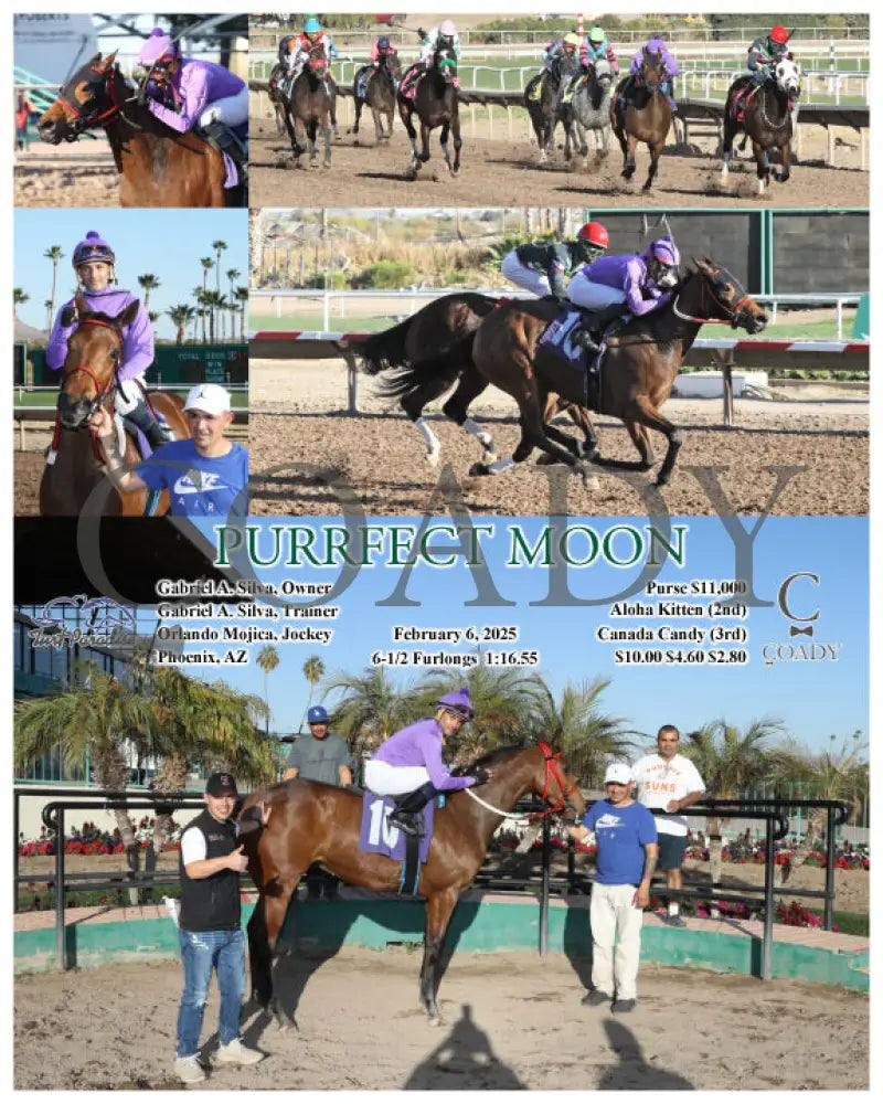 Purrfect Moon - 02-06-25 R09 Tup Turf Paradise