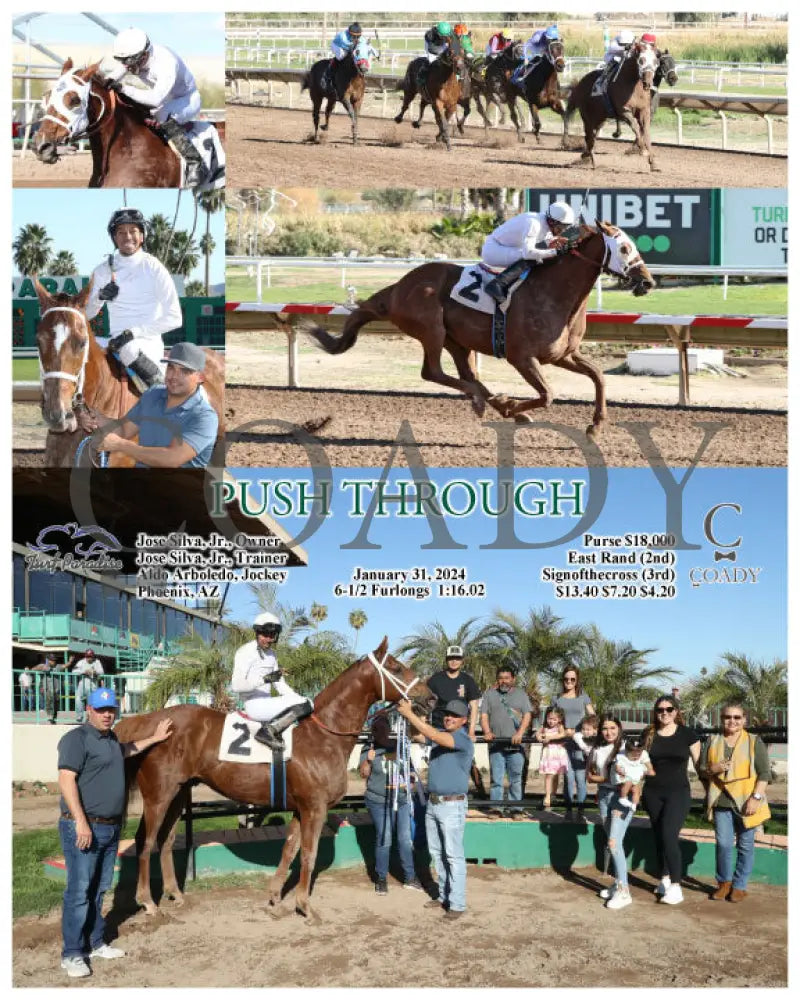 Push Through - 01-31-24 R06 Tup Turf Paradise