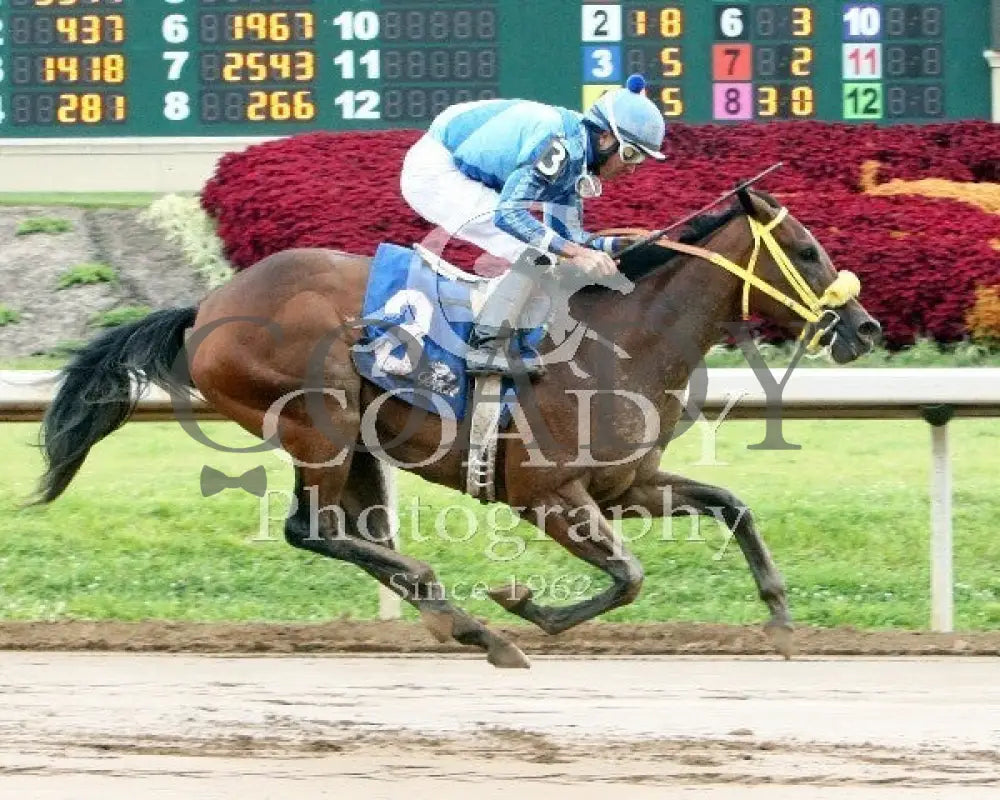 Pyrite Blue Magna - 083114 Race 07 Btp Belterra Park