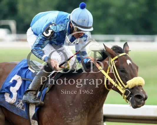 Pyrite Blue Magna - 083114 Race 07 Btp Belterra Park