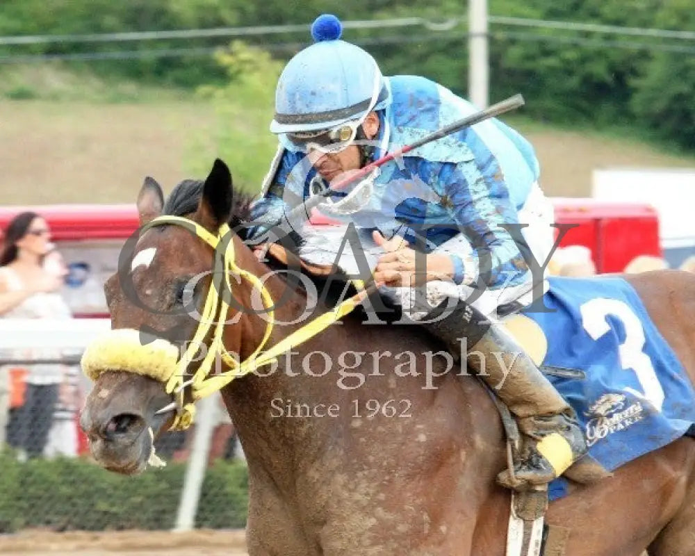 Pyrite Blue Magna - 083114 Race 07 Btp Belterra Park