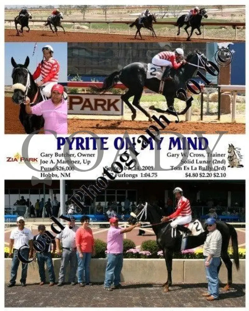 Pyrite On My Mind - 9 14 2009 Zia Park