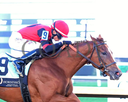Q’S TOPNOTCH - Circle City - 25th Running - 10-01-25 - R10 - Horseshoe Indiana - Tight Finish 01 - Devin Hall Indiana