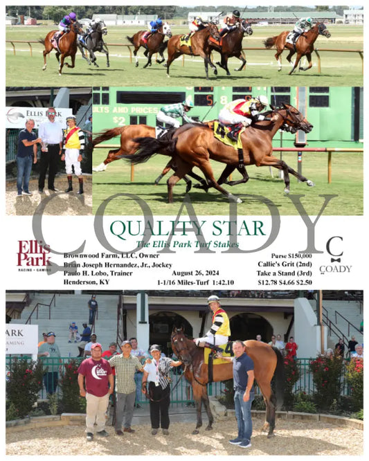 Quality Star - 082624 Race 08 Elp The Ellis Park Turf Stakes