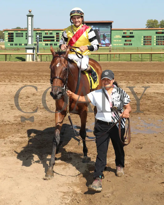 Quality Star - 082624 Race 08 Elp The Ellis Park Turf Stakes Come Back 01