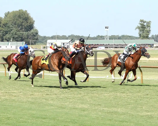 Quality Star - 082624 Race 08 Elp The Ellis Park Turf Stakes Up The Track 01