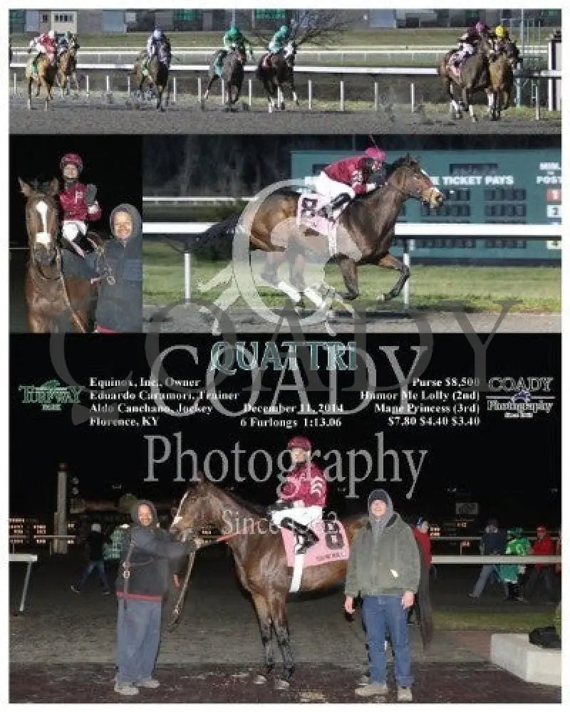Quattri - 121114 Race 01 Tp Turfway Park