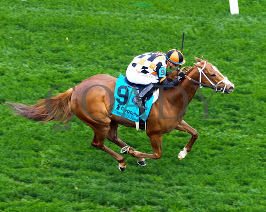 QUEEN MAXIMA - The Unbridled Sidney G3 - 05-02-25 - R10 - CD - Aerial Finish 01 Churchill Downs