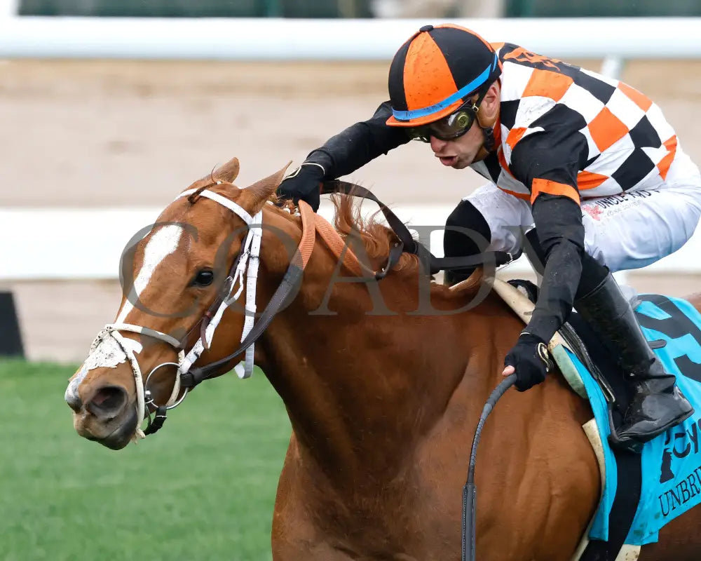 QUEEN MAXIMA - The Unbridled Sidney G3 - 05-02-25 - R10 - CD - Inside Finish 03 Churchill Downs
