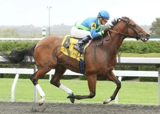 Quick Delivery - 1 101311 Race 01 Keeneland