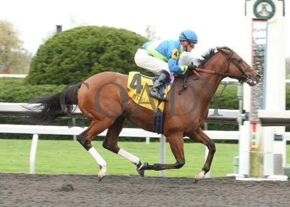 Quick Delivery - 2 101311 Race 01 Keeneland