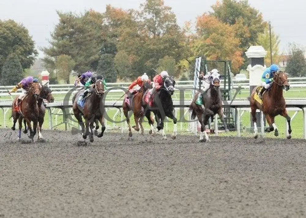 Quick Delivery - 3 101311 Race 01 Keeneland