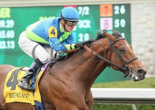 Quick Delivery - 5 101311 Race 01 Keeneland