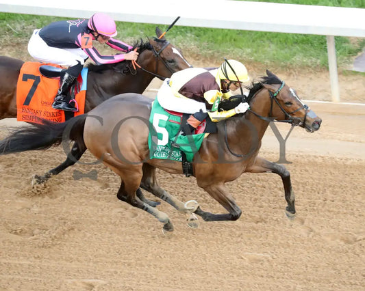 QUIETSIDE - Fantasy Stakes G2 - 53rd Running - 03-29-25 - R12 - OP - Aerial Finish 01 Oaklawn Park