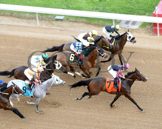 QUIETSIDE - Fantasy Stakes G2 - 53rd Running - 03-29-25 - R12 - OP - Aerial First Pass 01 Oaklawn Park