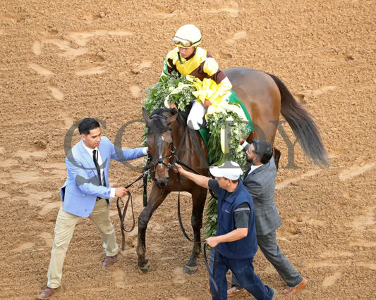 QUIETSIDE - Fantasy Stakes G2 - 53rd Running - 03-29-25 - R12 - OP - Come Back 04 Oaklawn Park