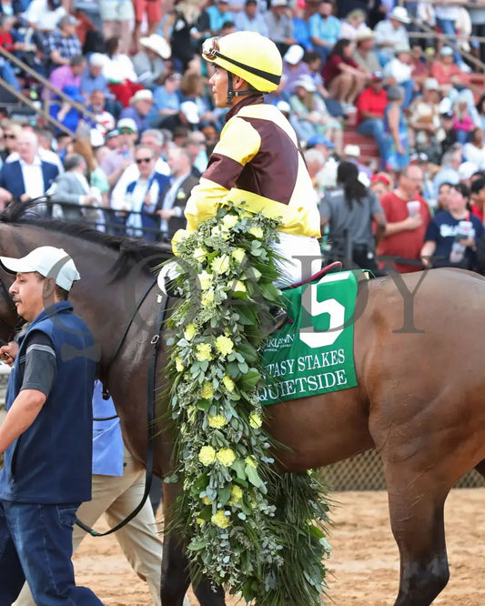 QUIETSIDE - Fantasy Stakes G2 - 53rd Running - 03-29-25 - R12 - OP - Come Back 05 Oaklawn Park