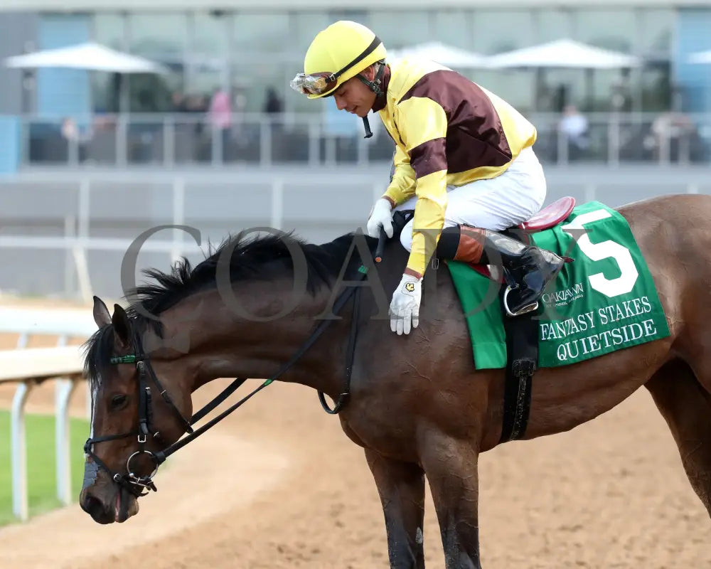 QUIETSIDE - Fantasy Stakes G2 - 53rd Running - 03-29-25 - R12 - OP - Come Back 03 Oaklawn Park