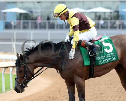 QUIETSIDE - Fantasy Stakes G2 - 53rd Running - 03-29-25 - R12 - OP - Come Back 03 Oaklawn Park