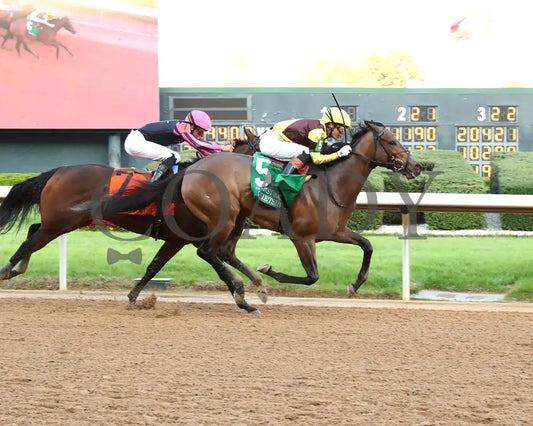 QUIETSIDE - Fantasy Stakes G2 - 53rd Running - 03-29-25 - R12 - OP - Finish 01 Oaklawn Park