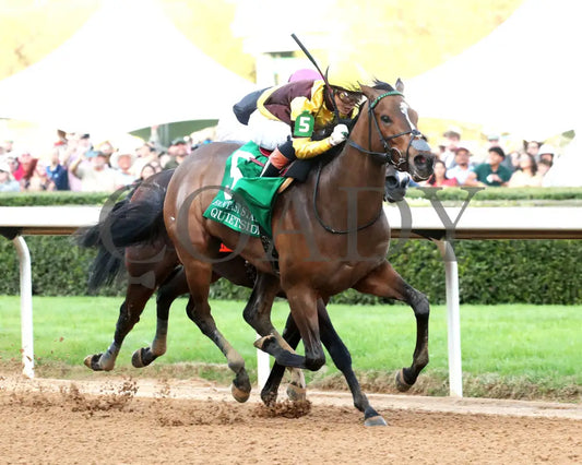 QUIETSIDE - Fantasy Stakes G2 - 53rd Running - 03-29-25 - R12 - OP - Finish 02 Oaklawn Park