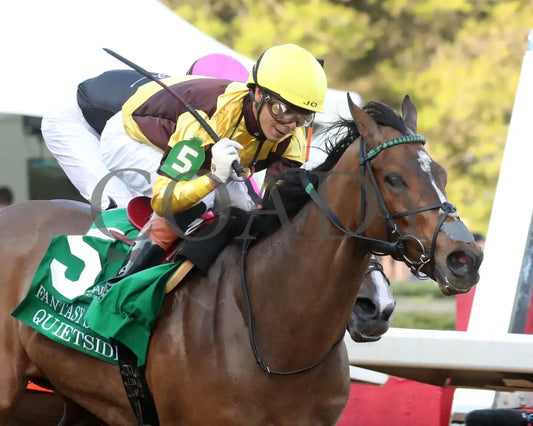 QUIETSIDE - Fantasy Stakes G2 - 53rd Running - 03-29-25 - R12 - OP - Finish 05 Oaklawn Park