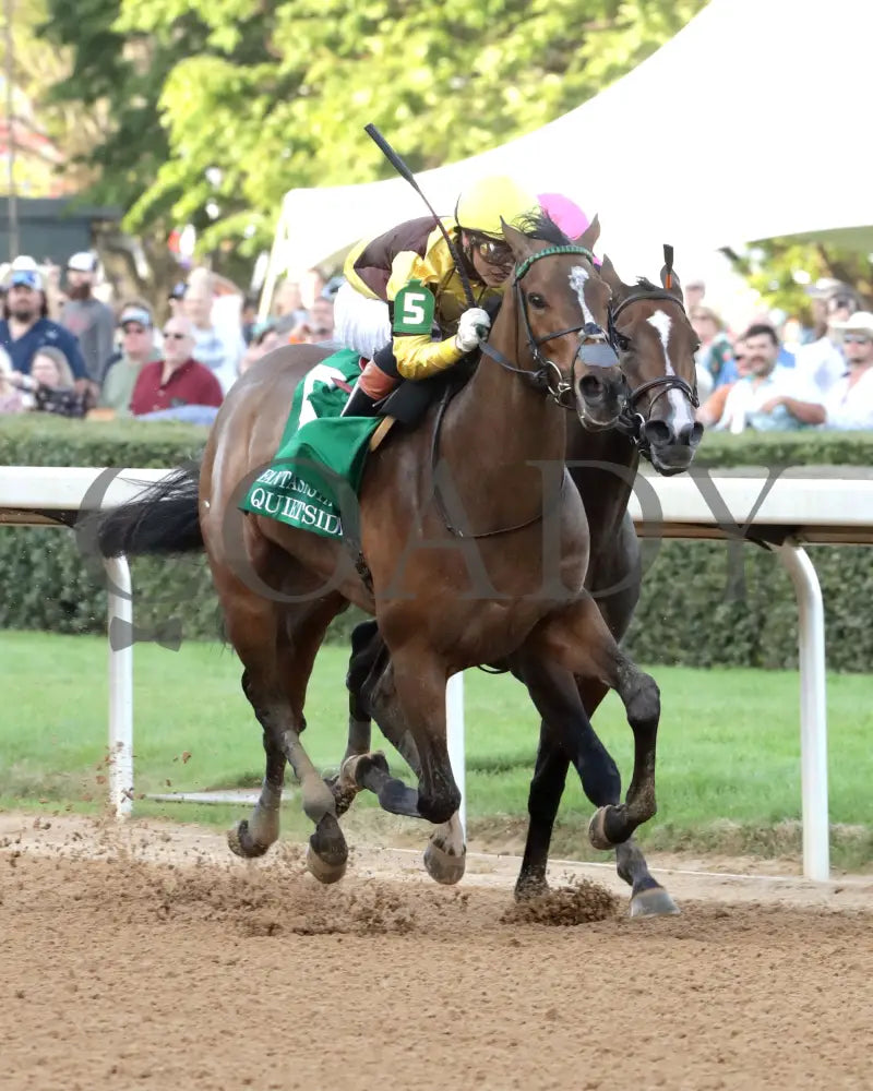 QUIETSIDE - Fantasy Stakes G2 - 53rd Running - 03-29-25 - R12 - OP - Finish 03 Oaklawn Park