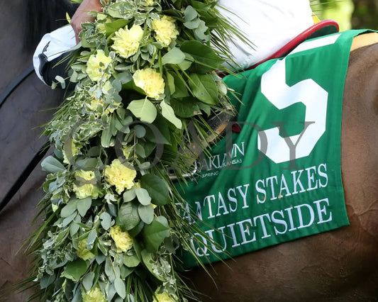 QUIETSIDE - Fantasy Stakes G2 - 53rd Running - 03-29-25 - R12 - OP - Garland 01 Oaklawn Park