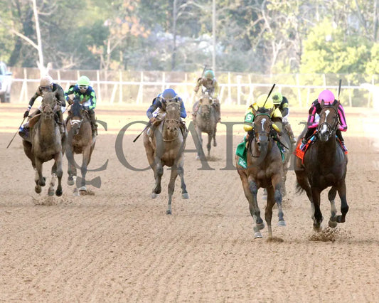 QUIETSIDE - Fantasy Stakes G2 - 53rd Running - 03-29-25 - R12 - OP - Head On 01 Oaklawn Park