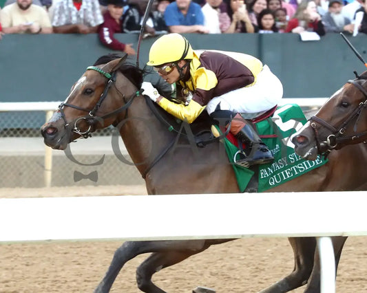 QUIETSIDE - Fantasy Stakes G2 - 53rd Running - 03-29-25 - R12 - OP - Inside Finish 01 Oaklawn Park