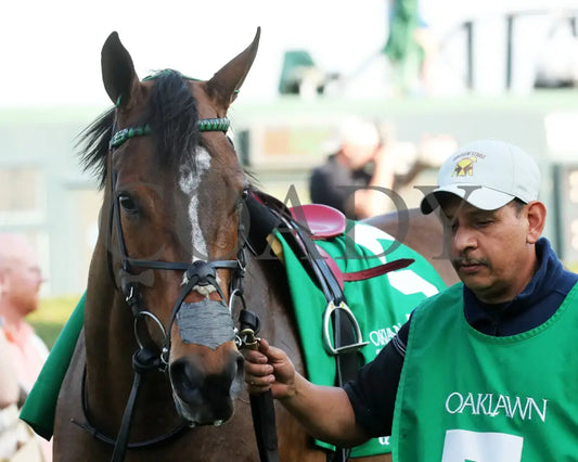 QUIETSIDE - Fantasy Stakes G2 - 53rd Running - 03-29-25 - R12 - OP - Paddock 01 Oaklawn Park