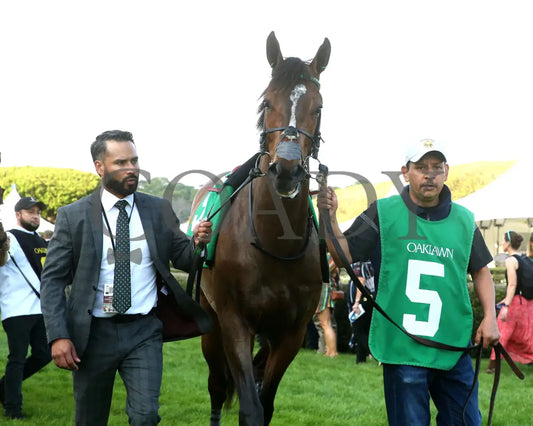 QUIETSIDE - Fantasy Stakes G2 - 53rd Running - 03-29-25 - R12 - OP - Paddock 07 Oaklawn Park