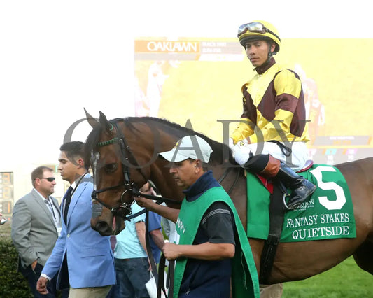 QUIETSIDE - Fantasy Stakes G2 - 53rd Running - 03-29-25 - R12 - OP - Paddock 08 Oaklawn Park