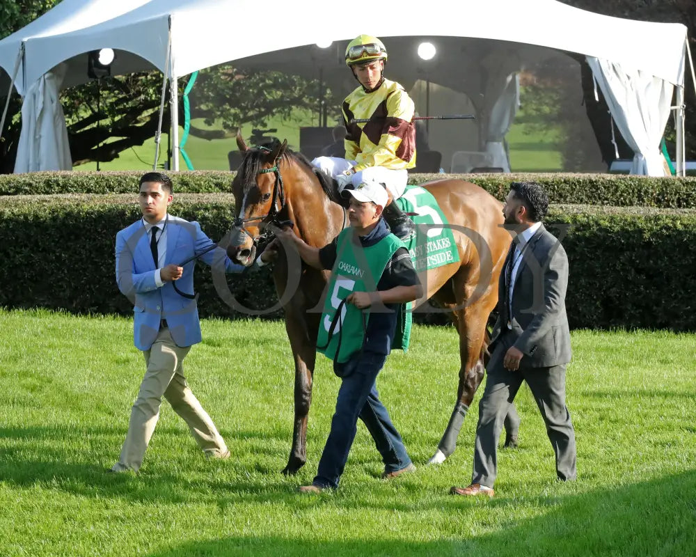 QUIETSIDE - Fantasy Stakes G2 - 53rd Running - 03-29-25 - R12 - OP - Paddock 09 Oaklawn Park