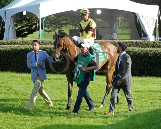 QUIETSIDE - Fantasy Stakes G2 - 53rd Running - 03-29-25 - R12 - OP - Paddock 09 Oaklawn Park