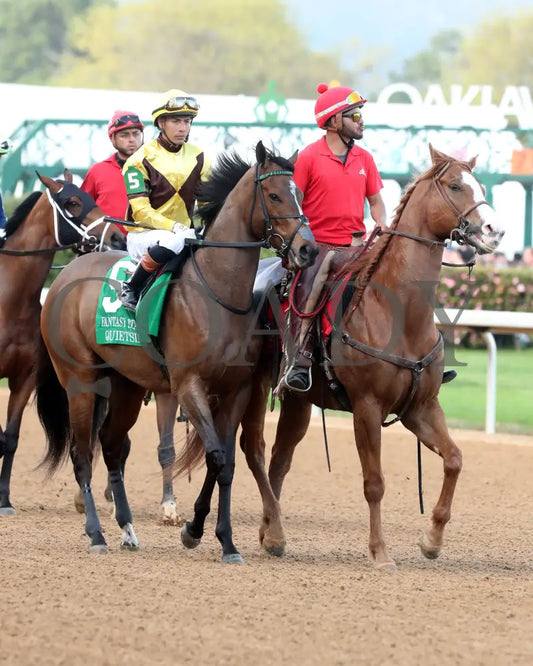 QUIETSIDE - Fantasy Stakes G2 - 53rd Running - 03-29-25 - R12 - OP - Post Parade 01 Oaklawn Park