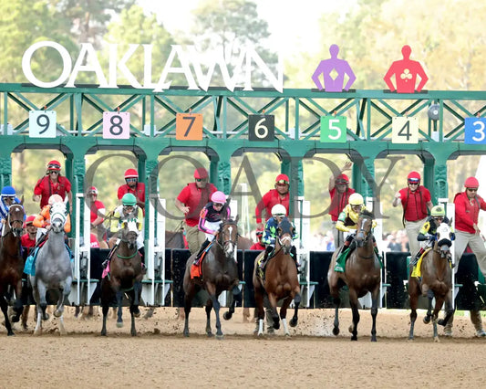 QUIETSIDE - Fantasy Stakes G2 - 53rd Running - 03-29-25 - R12 - OP - Start 01 Oaklawn Park