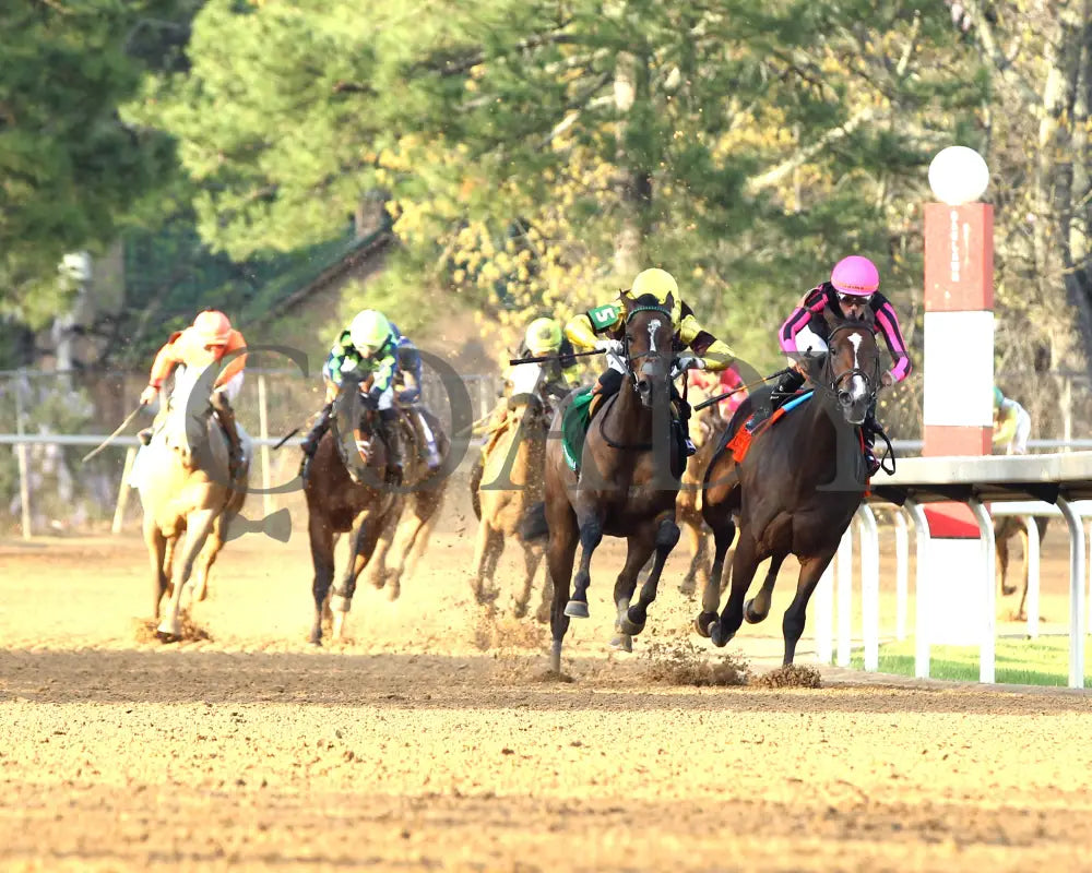 QUIETSIDE - Fantasy Stakes G2 - 53rd Running - 03-29-25 - R12 - OP - Turn 01 Oaklawn Park