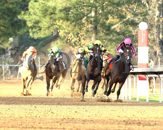 QUIETSIDE - Fantasy Stakes G2 - 53rd Running - 03-29-25 - R12 - OP - Turn 01 Oaklawn Park