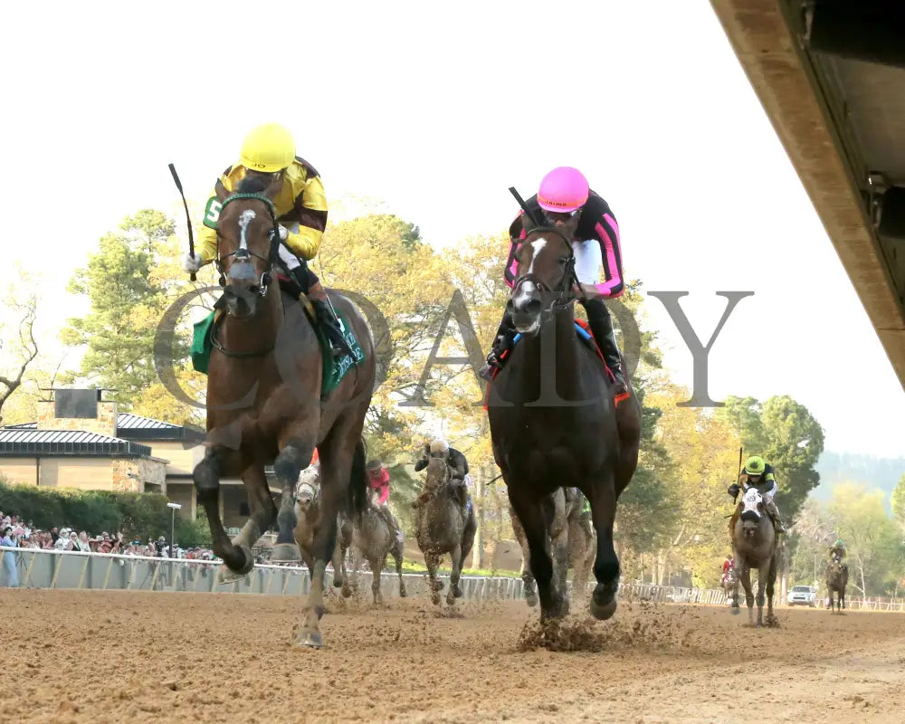 QUIETSIDE - Fantasy Stakes G2 - 53rd Running - 03-29-25 - R12 - OP - Under Rail 01 Oaklawn Park