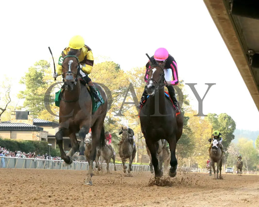 QUIETSIDE - Fantasy Stakes G2 - 53rd Running - 03-29-25 - R12 - OP - Under Rail 01 Oaklawn Park