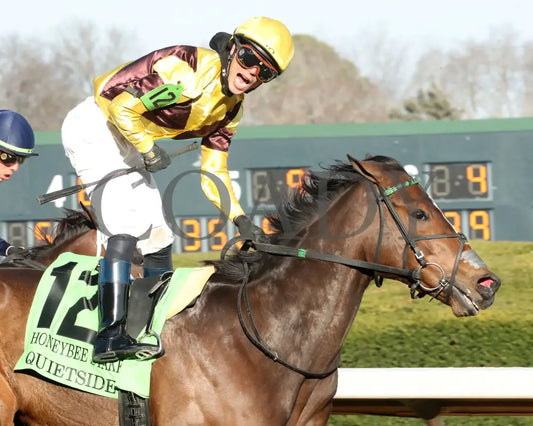 QUIETSIDE - The Honeybee Stakes G3 - 02-23-25 - R09 - OP - Celebration 01 Oaklawn Park