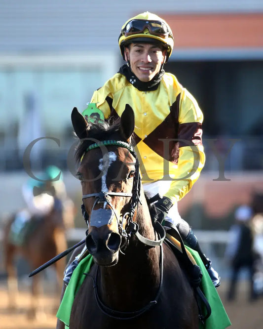 QUIETSIDE - The Honeybee Stakes G3 - 02-23-25 - R09 - OP - Come Back 01 Oaklawn Park
