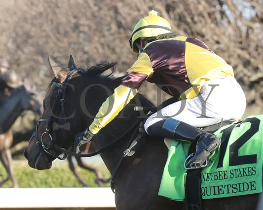 QUIETSIDE - The Honeybee Stakes G3 - 02-23-25 - R09 - OP - Come Back 02 Oaklawn Park