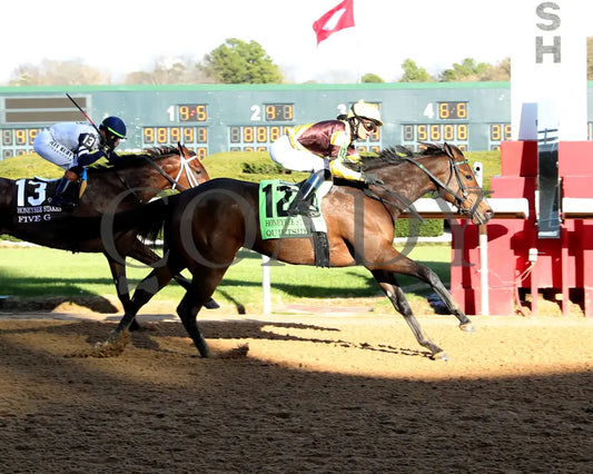 QUIETSIDE - The Honeybee Stakes G3 - 02-23-25 - R09 - OP - Finish 01 Oaklawn Park
