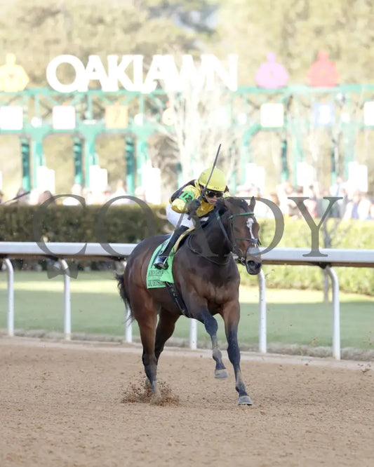 QUIETSIDE - The Honeybee Stakes G3 - 02-23-25 - R09 - OP - Finish 03 Oaklawn Park